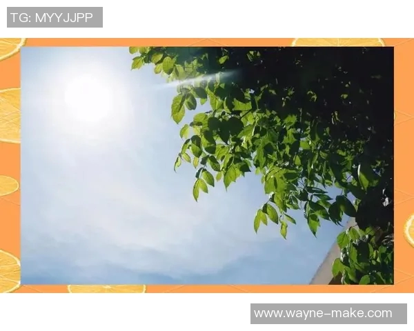 周磊独家分享篮球心得与技巧助你提升球技的全面指南